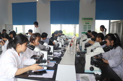 生物技術(shù)專業(yè)簡介 前沿研究與創(chuàng)新開發(fā)